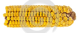 boiled corn isolated on white background.