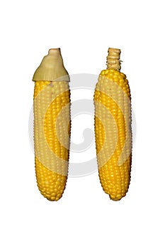 Boiled corn isolated on white background, clipping path