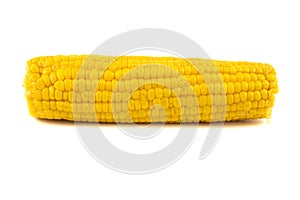 Boiled corn isolated white background, closeup view