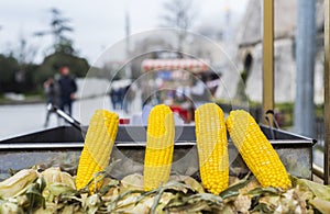Boiled Corn with Istanbul
