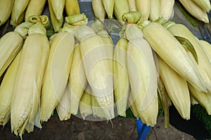 Boiled corn at the market