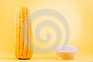 Boiled corn and salt on a yellow background/boiled appetizing corn and salt on a yellow background, copy space