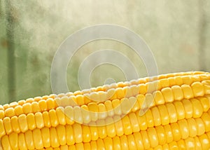 Boiled corn with steam closeup on a green background