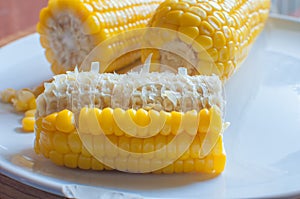 Boiled corn on white bowl
