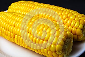 boiled corn on a white plate, selective focus