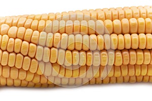 Boiled corncob closeup, corn maize isolated on white background