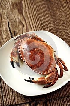 Boiled crab