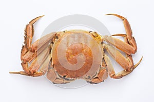 boiled crab