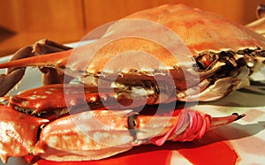 Boiled crab