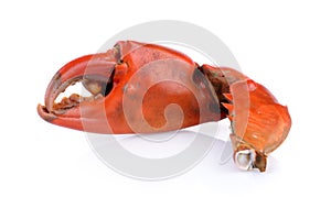 Boiled crab claws isolated