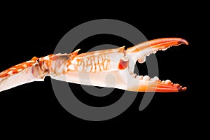 Boiled crab claws