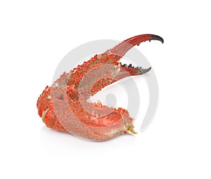 Boiled crab claws isolated on white background.