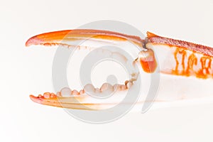 Boiled crab claws