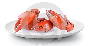 Boiled crab claws in a plate on a white background