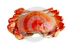 Boiled Crab