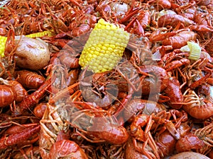 Boiled Crawfish