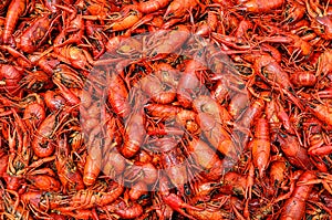 Boiled Crawfish