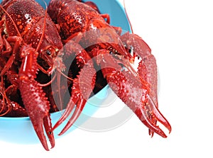 Boiled crawfish