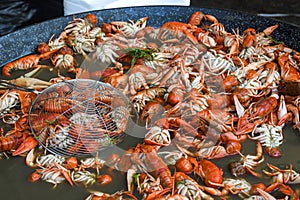 Boiled crawfish, fried crawfish, crawfish Ã©touffÃ©e, crawfish beignets. Crayfish or crawdads