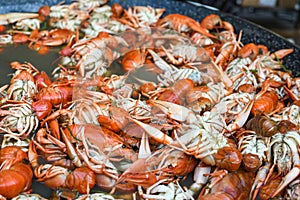 Boiled crawfish, fried crawfish, crawfish Ã©touffÃ©e, crawfish beignets. Crayfish or crawdads