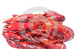 Boiled crawfish isolated on white