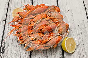 Boiled Crawfish plating