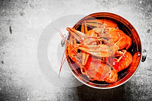 Boiled crawfish in a steel bucket.