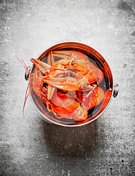 Boiled crawfish in a steel bucket.