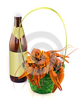 Boiled crayfish in basket with a bottle of beer. Tasty fresh boiled crawfish