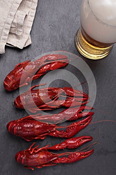 Boiled crayfish and beer