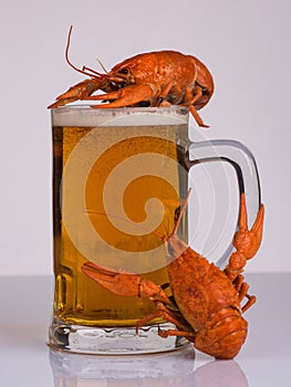 Boiled crayfish with beer