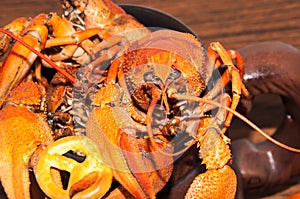 Boiled crayfish beer snack.