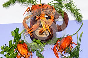 Boiled crayfish beer snack. ..