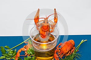 Boiled crayfish beer snack. ..