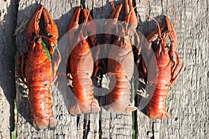 Boiled crayfish closeup, background, wallpaper