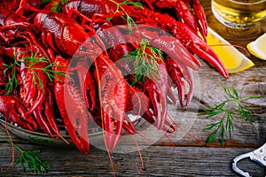 Boiled crayfish with dill and beer