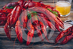 Boiled crayfish with dill and beer
