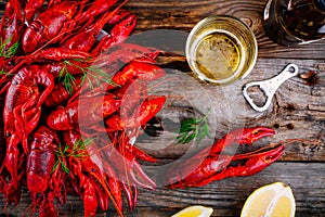 Boiled crayfish with dill and beer photo