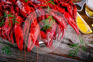 Boiled crayfish with dill and beer