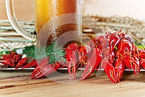 Boiled crayfish with dill and cold beer