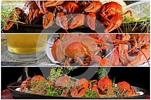 Boiled crayfish with dill and lemon for beer