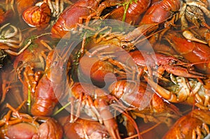 Boiled crayfish in a pan with dill