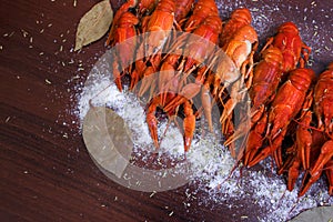 Boiled crayfish with peps on a gray wooden background