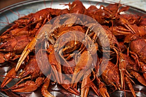 Boiled crayfish on a plate