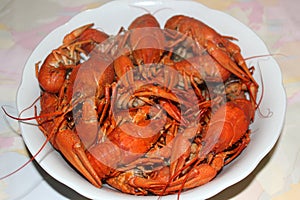 Boiled crayfish on a plate