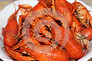 Boiled crayfish in a plate. Boiled crayfish closeup