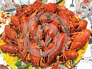 boiled crayfish on an red plate. Hot Boiled Crawfish