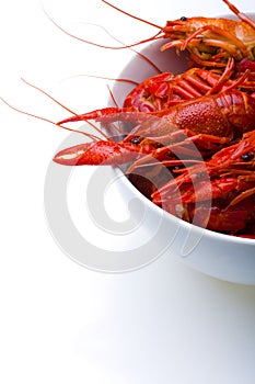 Boiled Crayfish in white bowl