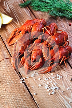 Boiled crayfish on a wooden table among spices, lemon and dill. The concept of food, beer snacks, relaxation in a bar