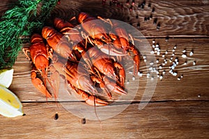 Boiled crayfish on a wooden table among spices, lemon and dill. The concept of food, beer snacks, relaxation in a bar